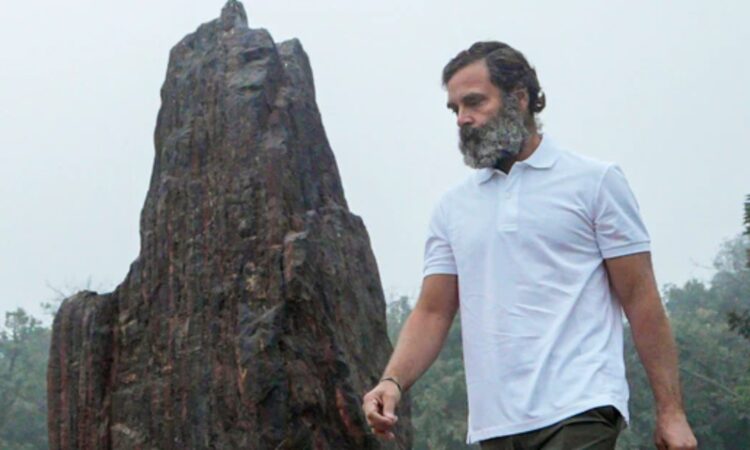 എന്നാലും-അസ്ഥി-മരവിപ്പിക്കുന്ന-തണുപ്പില്-ടീ-ഷര്ട്ട്-മാത്രമിട്ട്-എങ്ങനെ?;-രാഹുല്-ഗാന്ധിയുടെ-ആരോഗ്യം-ശാസ്ത്ര-ലോകത്ത്-ചര്ച്ച