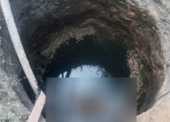 കിണറ്റില്‍-വീണു;-ഗ്രാമത്തിലിറങ്ങിയ-രണ്ട്-സിംഹങ്ങള്‍
-ചത്തു