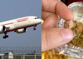 എയര്-ഇന്ത്യയില്-യാത്രക്കാര്ക്ക്-നല്കിയ-ഭക്ഷണത്തില്-കല്ല്;-പരാതിയുമായി-യുവതി