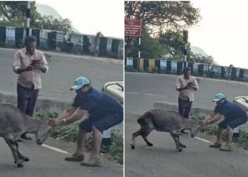 വരയാടിനെ-കൊമ്പില്-പിടിച്ച്-നിര്ത്തി-ഫോട്ടോ;-മലയാളി-വൈദികന്-തമിഴ്നാട്-ജയിലില്