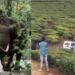 ‘പടയപ്പ’യെ-പ്രകോപിപ്പിക്കാന്‍-ശ്രമം:-ഡ്രൈവര്‍ക്കെതിരെ-ജാമ്യമില്ലാ-വകുപ്പ്-പ്രകാരം-കേസ്