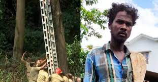 നിയമസഭയിൽ ചർച്ചയായി ആദിവാസി യുവാവ് വിശ്വനാഥന്റെ മരണം