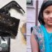ഫോണ് പൊട്ടിത്തെറിച്ച് എട്ട് വയസുകാരിയുടെ മരണം; അന്വേഷണവുമായി സഹകരിക്കുമെന്ന് ഷവോമി ഇന്ത്യ