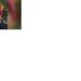 ഷാഫിയെവിടെ? ഇരുട്ടിൽ തപ്പി അന്വേഷണ സംഘം, ഉന്നത പൊലീസ് ഉദ്യോഗസ്ഥർ താമരശേരിയിൽ