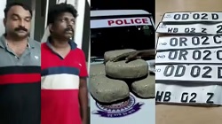 കൊല്ലത്ത് 53 കിലോ കഞ്ചാവുമായി യുവാക്കൾ പിടിയിൽ