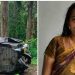 സ്കൂൾ കുട്ടികളുമായി വന്ന ഓട്ടോയിൽ പന്നി ഇടിച്ചു; വനിത ഓട്ടോ ഡ്രൈവർ മരിച്ചു