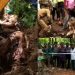 ചേലക്കരയിലെ കാട്ടാനയുടെ ജഡത്തിൽ കൊമ്പില്ല; മുറിച്ചെടുത്തതെന്ന് വെറ്ററിനറി സർജൻ