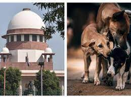 പേവിഷബാധ പ്രതിരോധ വാക്സിന്റെ ഗുണനിലവാരം; ഹർജിയിൽ കേരളത്തെ കക്ഷിയാക്കി സുപ്രീംകോടതി, നോട്ടീസ് അയച്ചു