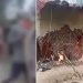 മണിപ്പൂരില് സ്ത്രീകളെ നഗ്നരാക്കി, ലൈംഗികാതിക്രമം നടത്തിയ സംഭവത്തിലെ പ്രധാന പ്രതിയുടെ വീട് കത്തിച്ചു