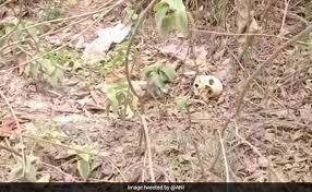 തലയോട്ടി കണ്ടെത്തി! എറണാകുളം മെഡിക്കൽ കോളേജിന് സമീപത്ത് പൊലീസ് പരിശോധന