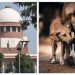 ആറ് മാസം പ്രായമുള്ള കുട്ടിയെയും അമ്മയെയും ലിഫ്റ്റില്‍വെച്ച് നായ ആക്രമിച്ചു; ഗുരുതര പരിക്ക്, ഉടമയ്ക്കെതിരെ കേസ്