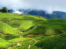 ടൂറിസ്റ്റ് ഗൈഡുമാരുടെ ചൂഷണങ്ങളെപ്പറ്റി വ്യാപക പരാതി