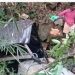 വയനാട് ജീപ്പ് അപകടം, തീരാ നോവായി ഒമ്പത് പേർ, പോസ്റ്റുമോർട്ടം ഇന്ന്, 12 മണിക്ക് പൊതുദർശനം