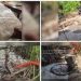 ആന്ഡമാനില് നശിപ്പിച്ചത് 100 കോടിയുടെ മയക്കുമരുന്ന്!