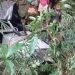 കണ്ണോത്തുമല ജീപ്പ് ദുരന്തം മറന്ന് സർക്കാർ; മരിച്ചവരുടെ ആശ്രിതർക്കുള്ള ധനസഹായം ഇനിയും പ്രഖ്യാപിച്ചില്ല