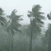 ചക്രവാതചുഴി, ബംഗാൾ ഉൾക്കടലിൽ ന്യൂന മർദ്ദം; സംസ്ഥാനത്ത് വ്യാപക മഴ സാധ്യത, അലർട്ടുകൾ ഇങ്ങനെ…!