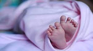 കുഞ്ഞുങ്ങൾ വിൽപ്പനയ്ക്ക്! ആൺകുട്ടിക്ക് 5000, പെൺകുട്ടിക്ക് 3000