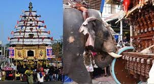 കല്പാത്തി രഥോത്സവം: രഥം വലിക്കാന് ആന വേണ്ടെന്ന് നിര്ദേശം, കൊണ്ടു വരുമെന്ന് ക്ഷേത്ര കമ്മിറ്റികള്
