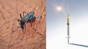 ചിക്കുന് ഗുനിയക്ക് ലോകത്ത് ആദ്യമായി വാക്സീന്; ‘എക്സ് ചിക്’ നല്കുക 18 വയസ്സിന് മുകളിലുള്ളവര്ക്ക്