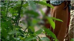 പത്തനംതിട്ടയിൽ റോഡരികിൽ കത്തിക്കരിഞ്ഞ നിലയിൽ മൃതദേഹം