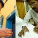 ഒളിവില് കഴിഞ്ഞത് 13 വര്ഷം, അധ്യാപകന്റെ കൈവെട്ടിയ കേസിൽ മുഖ്യപ്രതി പിടിയില്