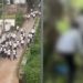താമരശ്ശേരിയിൽ ഹൈസ്കൂൾ വിദ്യാർത്ഥികൾ തമ്മിൽ പൊരിഞ്ഞ അടി!
