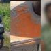 26 ലക്ഷത്തിന്റെ സ്വർണ കവർച്ച, വമ്പൻ ട്വിസ്റ്റ്; എല്ലാം മൂവാറ്റുപുഴ ബാങ്ക് മാനേജരുടെ നാടകം