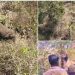 ബേലൂര് മഖ്ന പുഴ മുറിച്ചു കടന്നു, കർണാടകയിലേക്ക് മടങ്ങുന്നു; നിരീക്ഷിച്ച് ദൗത്യസംഘം