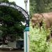 വന്യജീവി ആക്രമണത്തിൽ പ്രമേയം പാസാക്കി ഇടുക്കി രൂപത