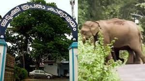 വന്യജീവി ആക്രമണത്തിൽ പ്രമേയം പാസാക്കി ഇടുക്കി രൂപത
