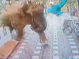 കാട്ടാന ആക്രമണം: പൊലീസ് നീക്കം പ്രതിഷേധക്കാർക്കെതിരെ കേസെടുക്കാനെങ്കിൽ ശക്തമായ പ്രതിരോധം,തുറന്നടിച്ച് ബിഷപ്പ്