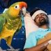 ‘പാരറ്റ് ഫീവര്’ വ്യാപകമാകുന്നു; യൂറോപ്പില് അഞ്ച് പേര് മരിച്ചു, ജാഗ്രതാ നിര്ദേശം