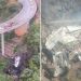 ബസ് മലയിടുക്കിലേക്ക് മറിഞ്ഞ് തീപിടിച്ച് 45 പേര് വെന്തുമരിച്ചു, ദാരുണ സംഭവം ദക്ഷിണാഫ്രിക്കയിൽ