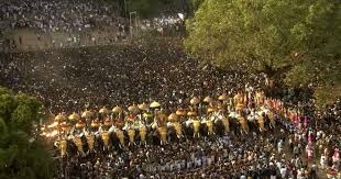 അനാവശ്യ നിയന്ത്രണങ്ങൾ പൂരത്തിന്റെ ശോഭ കെടുത്തി: കെ. മുരളീധരന്