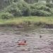 പുഴയിൽ കുളിക്കാനിറങ്ങിയ അമ്മൂമ്മയും പേരക്കുട്ടിയും മുങ്ങിമരിച്ചു, രണ്ടാമത്തെ കുട്ടിയുടെ നില ഗുരുതരം