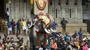 തെച്ചിക്കോട്ടുകാവ് രാമചന്ദ്രന് തൃശൂർ പൂരത്തിൽ പങ്കെടുക്കുമോ,ഹൈക്കോടതിയുടെ തീരുമാനം വരുന്ന ബുധനാഴ്ച