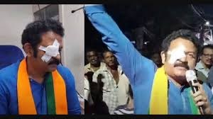 എൻ ഡി എ സ്ഥാനാർത്ഥി കൃഷ്ണ കുമാറിനെ ആക്രമിച്ചത് ബിജെപി പ്രവര്ത്തകൻ