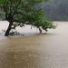 ‘ഇടവിട്ട മഴ, പലതരം പകര്ച്ചവ്യാധികൾക്ക് സാധ്യത’; അതീവ ജാഗ്രത വേണം, നിർദേശങ്ങളുമായി മന്ത്രി