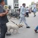 തുടരെ ബോംബ് ഭീഷണി സന്ദേശം; ദില്ലിയില് നിരവധി ആശുപത്രികള്ക്കും സന്ദേശം