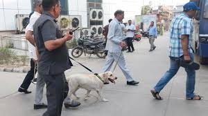 തുടരെ ബോംബ് ഭീഷണി സന്ദേശം; ദില്ലിയില് നിരവധി ആശുപത്രികള്ക്കും സന്ദേശം