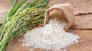 ലോക അരി വിപണിയിൽ ഇന്ത്യ മുൻനിരയിൽ