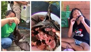 വവ്വാല് സൂപ്പുണ്ടാക്കി വീട്ടമ്മ, ആസ്വദിച്ച് കഴിച്ച് കുട്ടികള്; വൈറല് വീഡിയോയില് ‘വയറിളകി’ സോഷ്യല് മീഡിയ