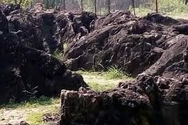 ലോക പൈതൃക പട്ടികയിൽ ഇടം പിടിക്കാൻ സല്ഖാന് ഫോസില് പാര്ക്ക്