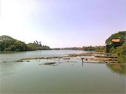 കുളിക്കാൻ പോലു൦ കൊള്ളില്ല കല്ലായിപുഴ