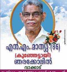 എൻ. എം. മാത്യു നിര്യാതനായി