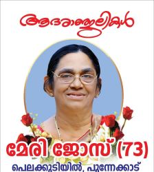 മേരി ജോസ് നിര്യാതയായി