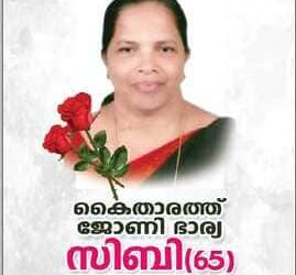 കൈതാരത്ത്  ജോണിയുടെ ഭാര്യ സിബി അന്തരിച്ചു