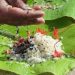 പിതൃപുണ്യമായി ഇന്ന് കർക്കടക വാവ് ബലി: വിശ്വാസികൾ സംസ്ഥാനത്തെമ്പാടും ബലിയർപ്പിക്കുന്നു