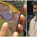 സുഹൃത്തിനെ ഡോക്ടറെ കാണിക്കാൻ പോയ യുവാവ് ആശുപത്രി ക്യാന്റീന് അടുത്തുള്ള വേലിയിൽ നിന്ന് ഷോക്കേറ്റ് മരിച്ചു