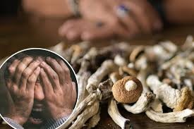 മാജിക് മഷ്റൂം കഴിച്ച് വിഭ്രാന്തി; കോടാലി ഉപയോഗിച്ച് ജനനേന്ദ്രിയം മുറിച്ച് നീക്കി 37 കാരനായ ഓസ്ട്രിയൻ യുവാവ്